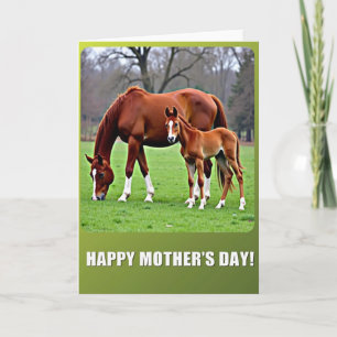 Striped Equine Family Card