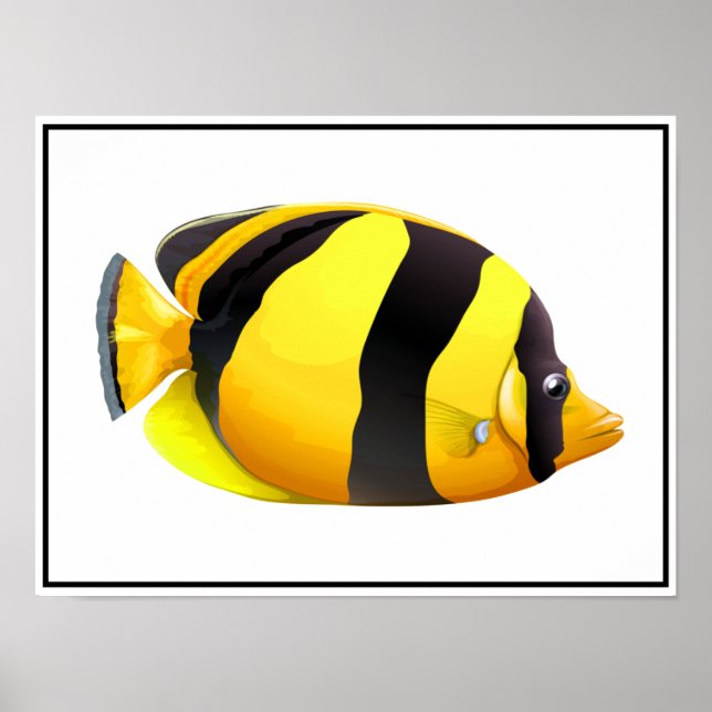 Striped Fish Poster (Front)