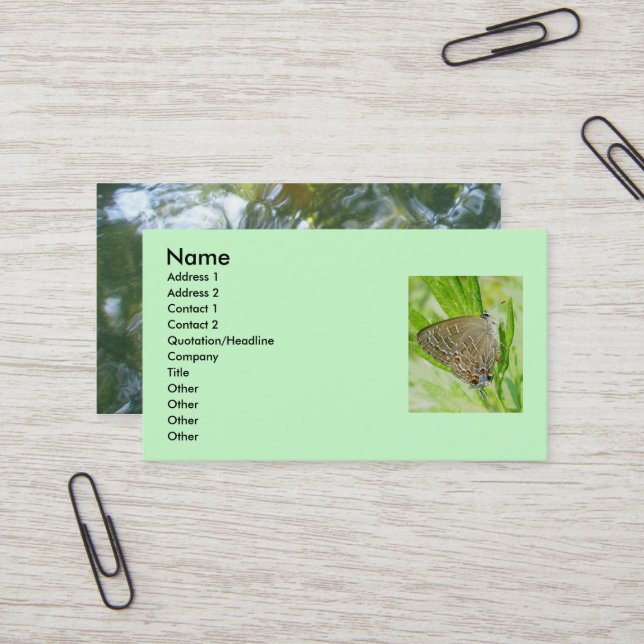 Striped Hairstreak Business Card (Front/Back In Situ)