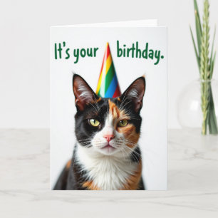 Striped Hat Feline Card