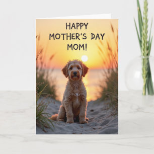 Striped Puppy Sunset Card
