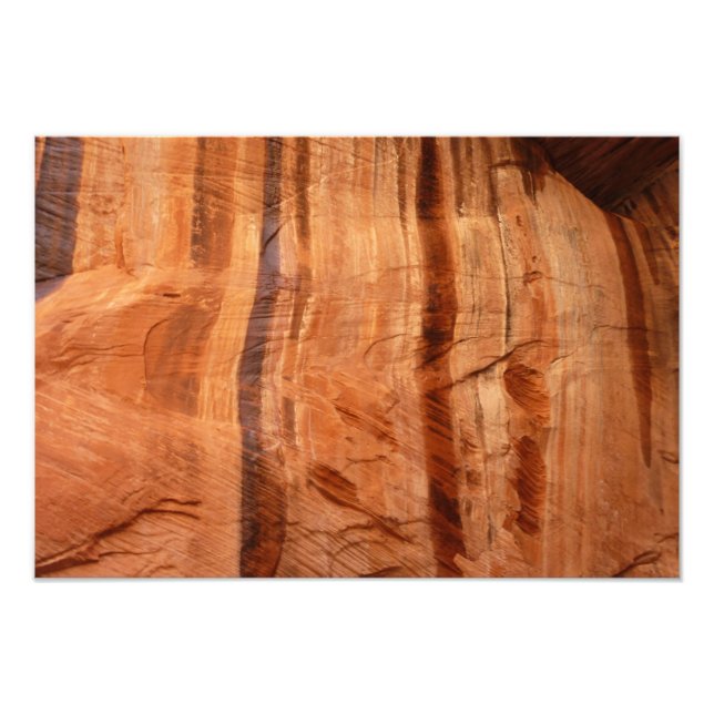 Striped Rock of Double Arch Alcove II at Zion Photo Print (Front)