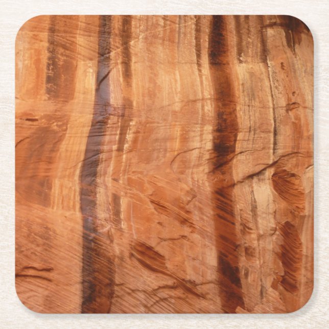 Striped Rock of Double Arch Alcove II at Zion Square Paper Coaster (Front)