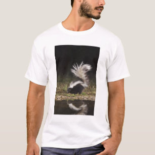 Striped Skunk, Mephitis mephitis T-Shirt