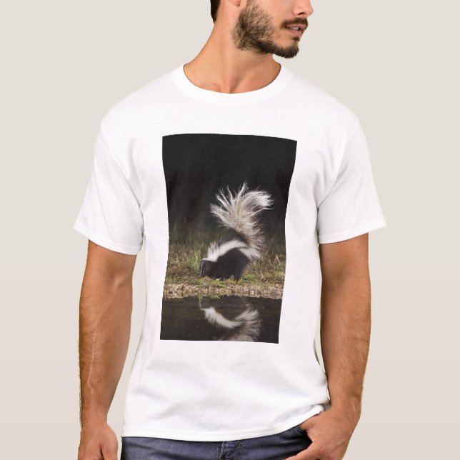 Striped Skunk, Mephitis mephitis T-Shirt (Front)