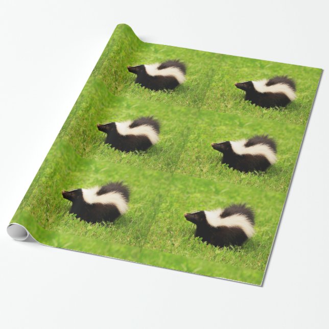 Striped Skunk Wrapping Paper (Unrolled)