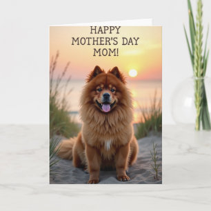 Striped Sunset Dog Card