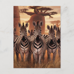 Striped Unity: Zebras Standing Together Postcard