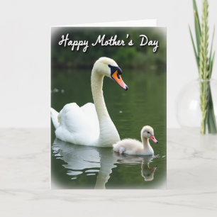 Striped Water Bird Mothers Day Card