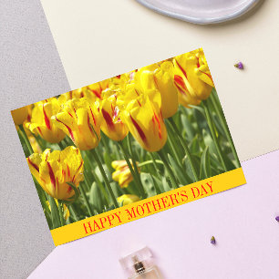 Striped Yellow Tulips Floral Mother's Day Card