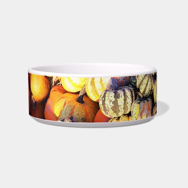 Stripes And Pumpkins  Bowl (Left)