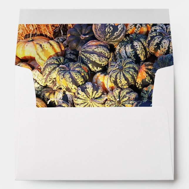 Stripes And Pumpkins  Envelope (Back (Bottom))