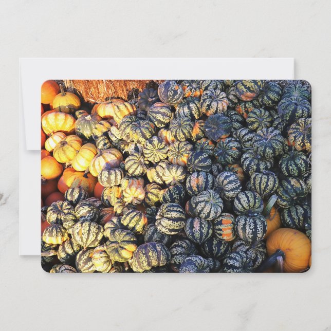 Stripes And Pumpkins  Invitation (Front)