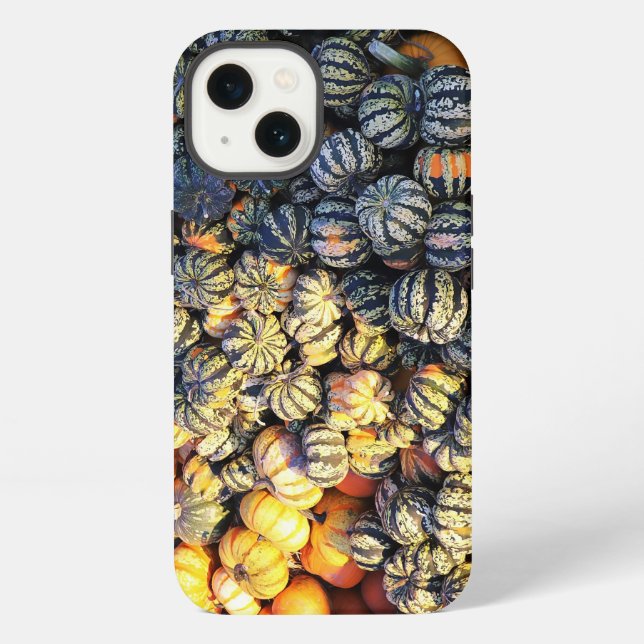 Stripes And Pumpkins  iPhone Case (Back)
