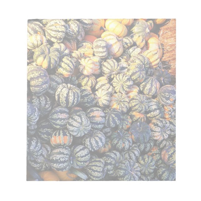 Stripes And Pumpkins  Notepad (Front)