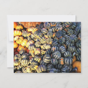 Stripes And Pumpkins Postcard