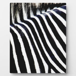 Stripes & I_ Plaque
