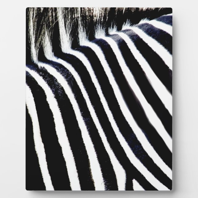 Stripes & I_ Plaque (Front)