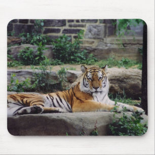 Stripes Mouse Pad