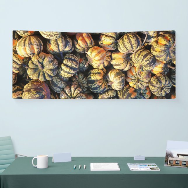 Stripey Pumpkins Cluster  Banner (Tradeshow)