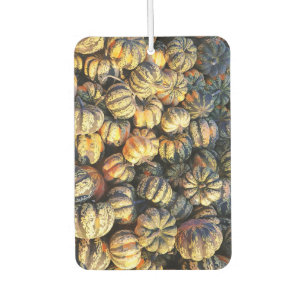 Stripey Pumpkins Cluster Car Air Freshener