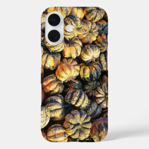 Stripey Pumpkins Cluster iPhone 16 Case