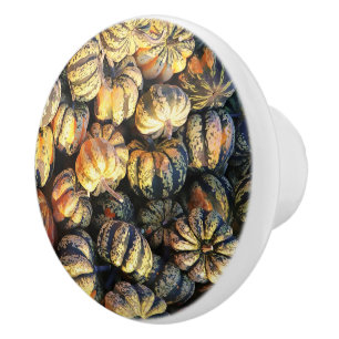 Stripey Pumpkins Cluster Ceramic Knob