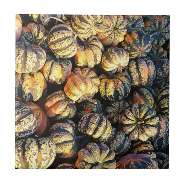 Stripey Pumpkins Cluster  Ceramic Tile (Front)
