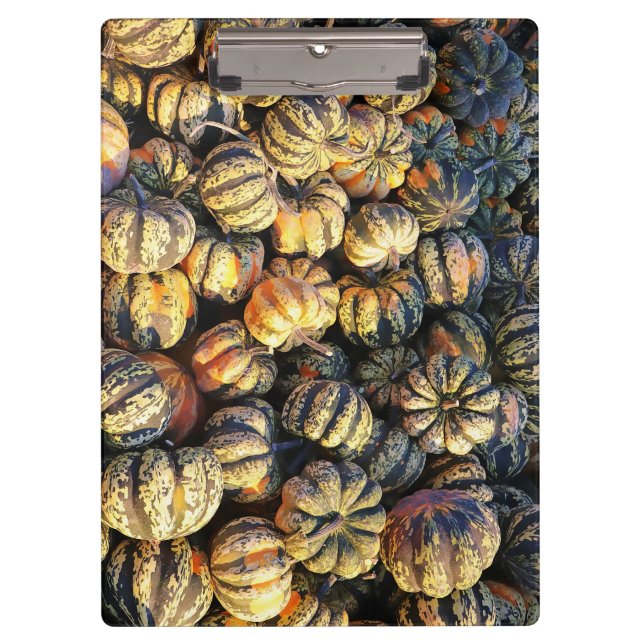 Stripey Pumpkins Cluster  Clipboard (Front)