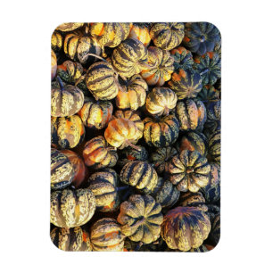 Stripey Pumpkins Cluster Magnet