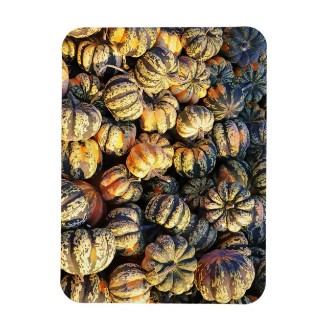 Stripey Pumpkins Cluster  Magnet (Vertical)