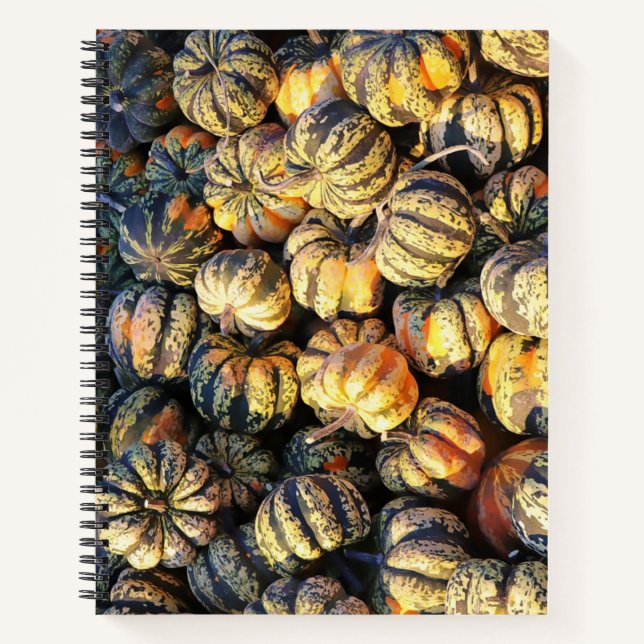 Stripey Pumpkins Cluster  Notebook (Front)