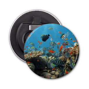 Stripey Tropical Fish Coral Chaos Bottle Opener
