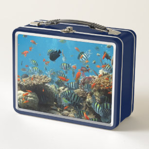 Stripey Tropical Fish Coral Chaos Metal Lunch Box