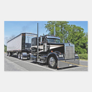 Strite's W900L Stickers