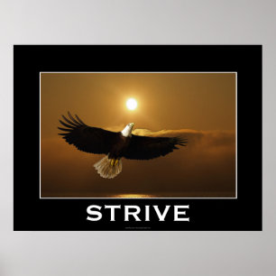 STRIVE ~ Flying Bald Eagle Motivational Poster