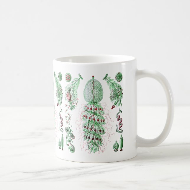 Strobalia Coffee Mug (Right)