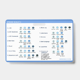 Stroke Scale Badge Companion ID Badge