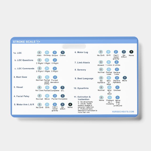 Stroke Scale Badge Companion ID Badge (Front)