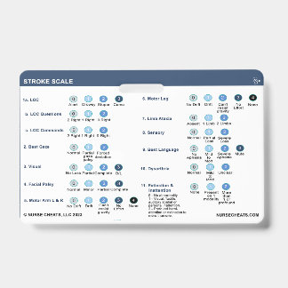 STROKE SCALE BADGE ID BADGE