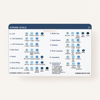 STROKE SCALE BADGE ID BADGE