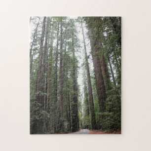 Stroll Through Redwoods Jigsaw Puzzle