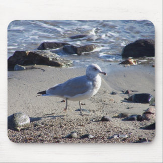 Strolling Gull Mouse Pad