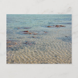 Stromatolites At Shark Bay Postcard