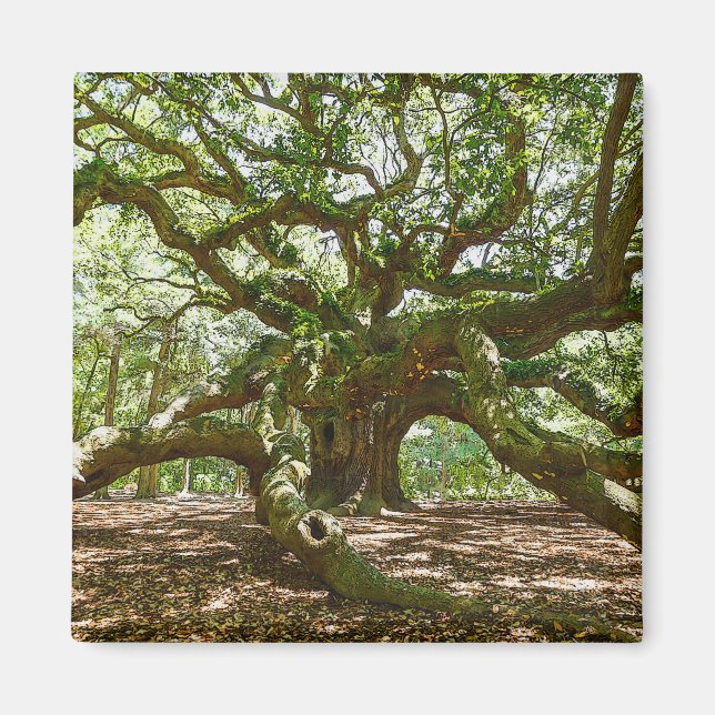 Strong And Bold Magnet (Front)