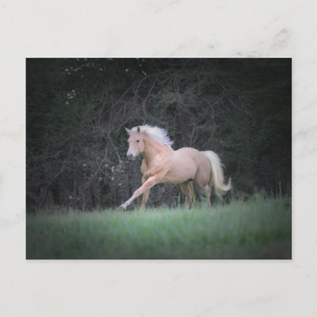 Strong Desire Postcard (Front)