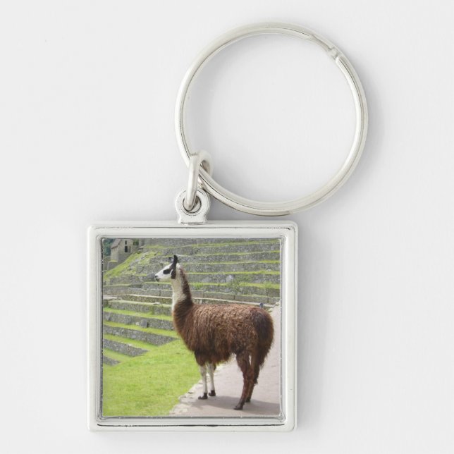 strong llama peru key ring (Front)