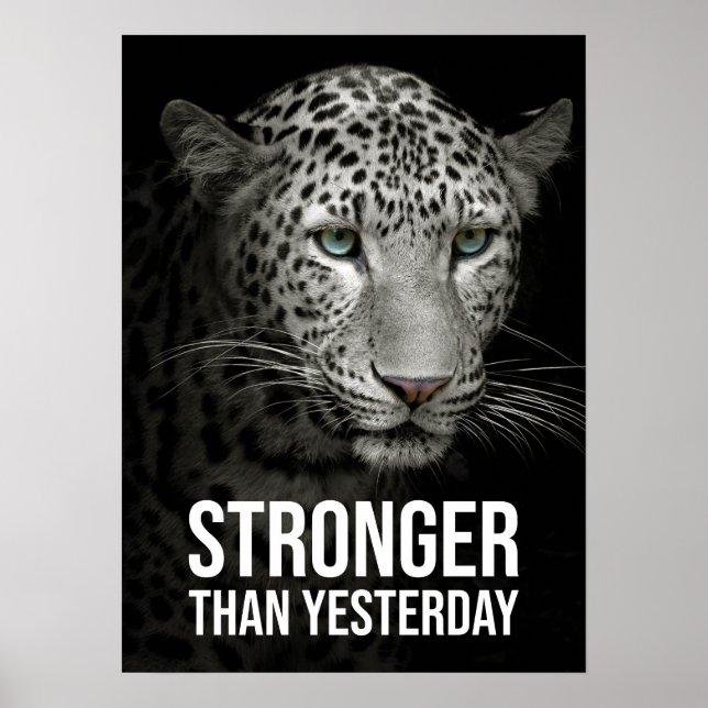 Stronger Than Yesterday - Tiger Poster (Front)