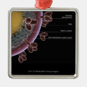 Structure of a HIV cell Metal Tree Decoration