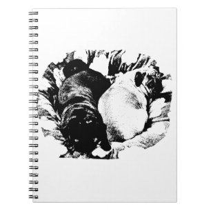 Structured Stillness Notebook